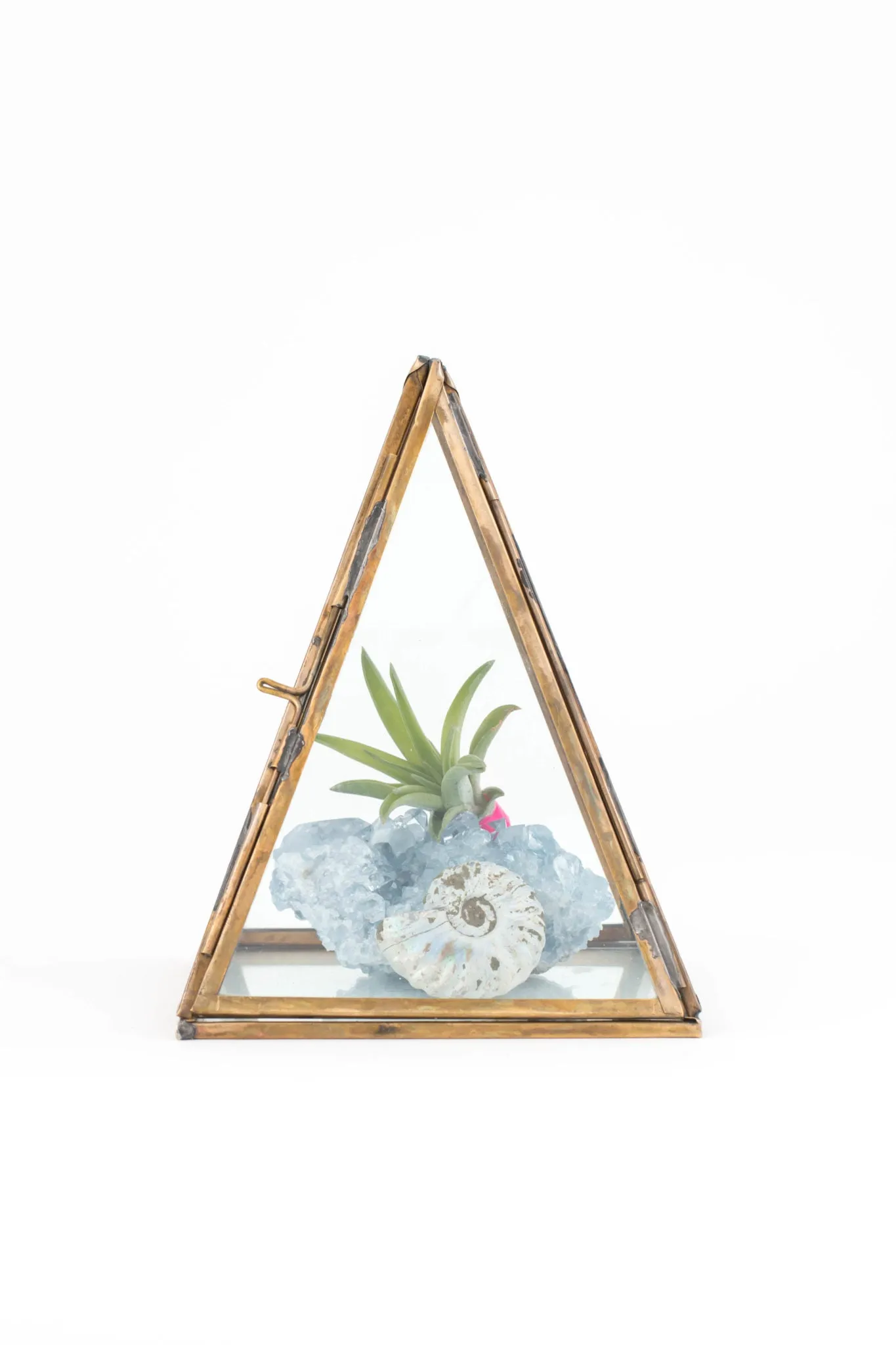 Giza Display Box