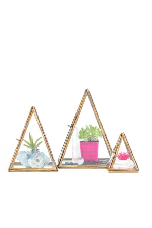 Giza Display Box