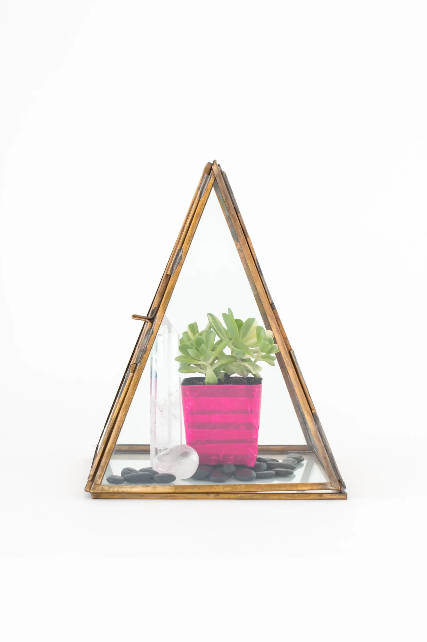 Giza Display Box