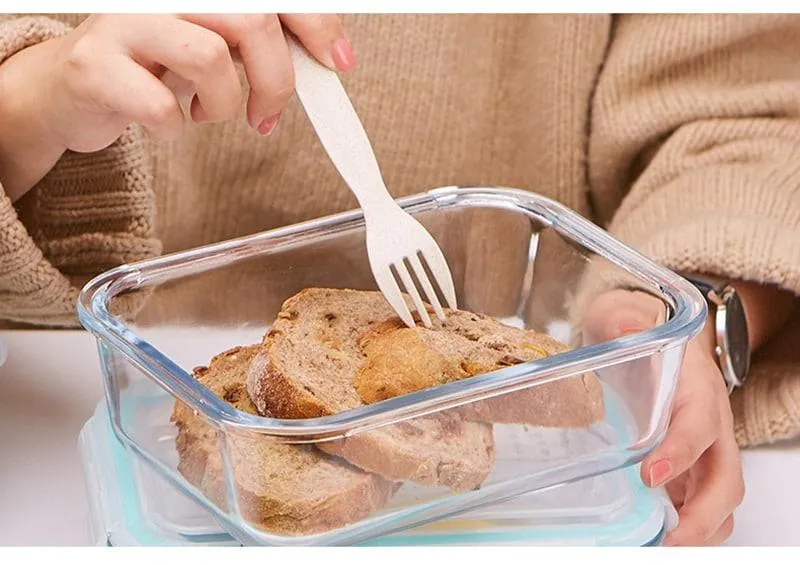 Transparent Design Glass Lunch Box